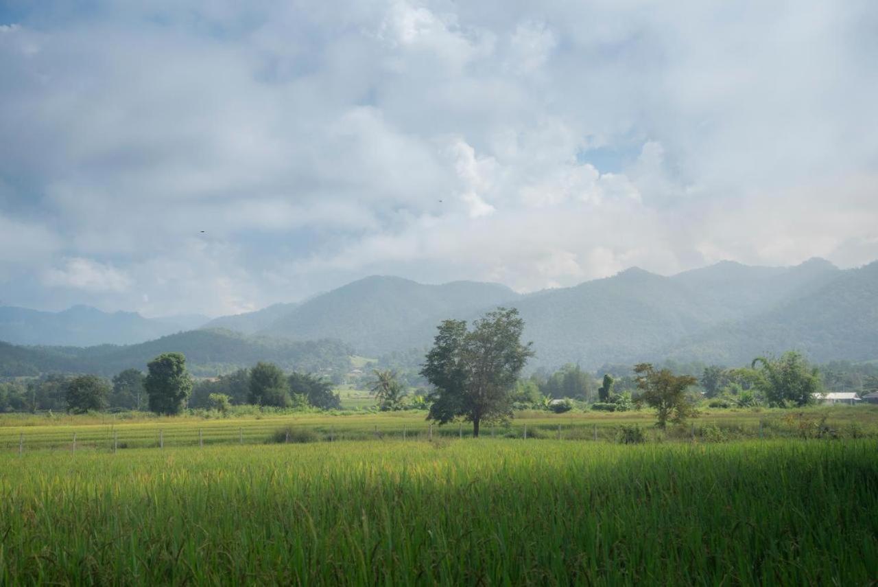 Camp View Mountain - Sell Experience By Paddy Fields Haven - Natures Nest 빠이 외부 사진